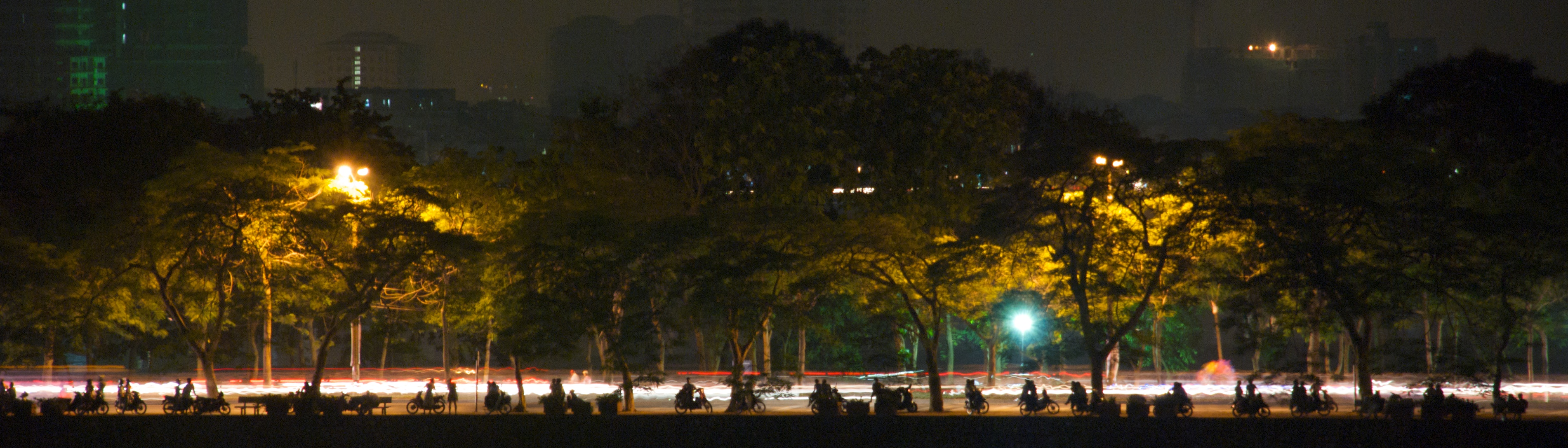 Vietnamese shadow play